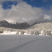 Nordic Park - Gel sur les arbres